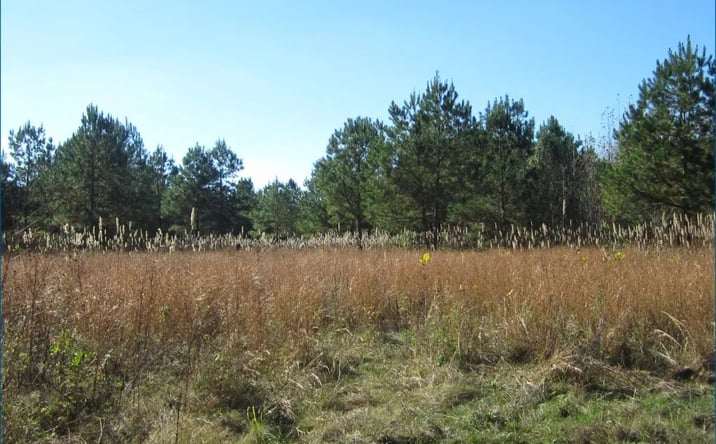 Pictures of Land property located at County Road 310, 71188, MS 38683 for sales - image #1