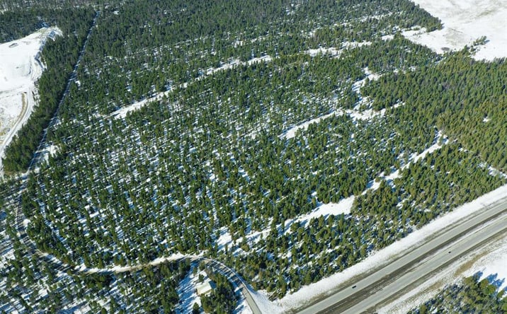 Pictures of Land property located at NHN Bowdish Road, WHITEFISH, MT 59937 for sales - image #1