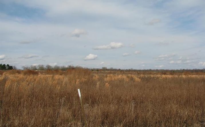 Pictures of Land property located at 0 Cannery Rd, Dalzell, SC 29040 for sales - image #1
