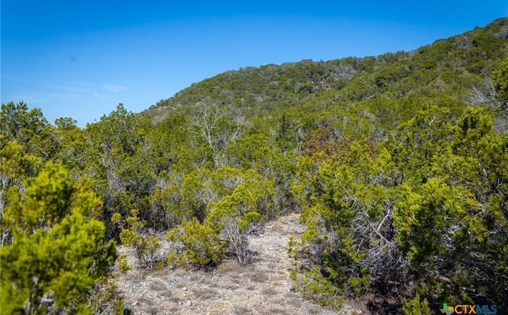 Pictures of Land property located at 837 Crystal Peak Dr, Fischer, TX 78623 for sales - image #1