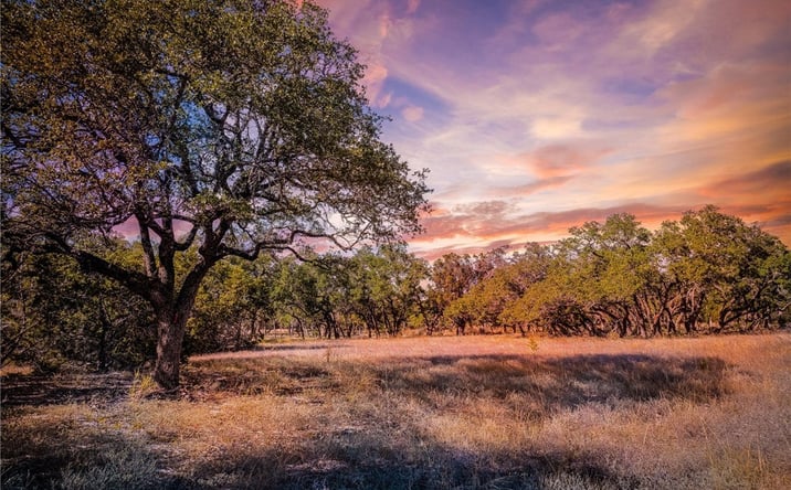 Pictures of Land property located at 34760 Carries Creek Dr, Bulverde, TX 78163 for sales - image #1