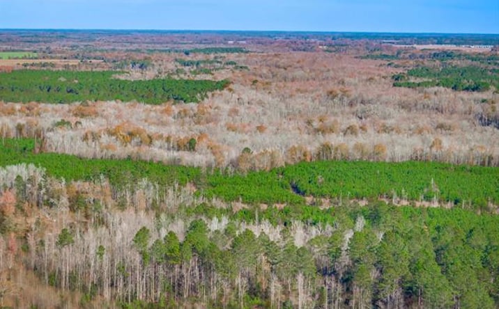 Pictures of Land property located at 0 McKays Bridge Rd, Dillon, SC 29536 for sales - image #1