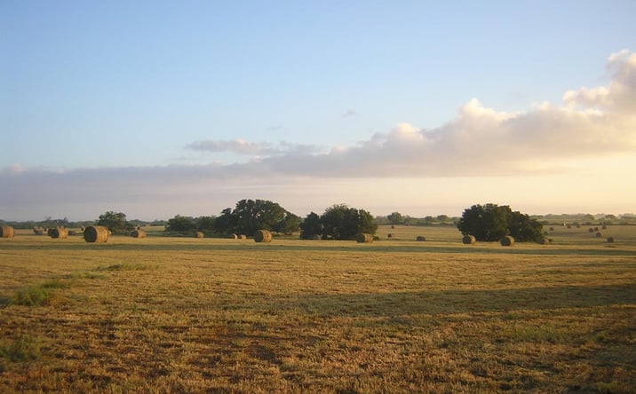 Pictures of Retail, Land property located at 15657 FM86, Dale, TX 78616 for sales - image #1