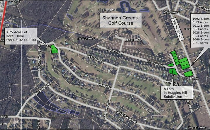 Pictures of Land property located at Bloomville Rd, Manning, SC 29102 for sales - image #1