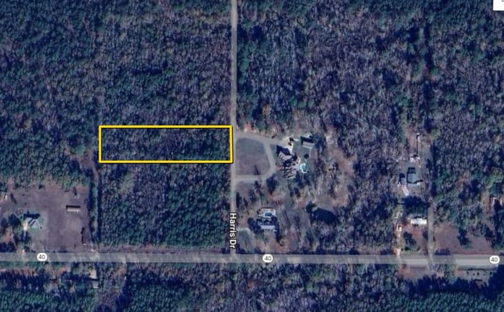 Pictures of Land property located at 39551 Harris Dr, Independence, LA 70443 for sales - image #1
