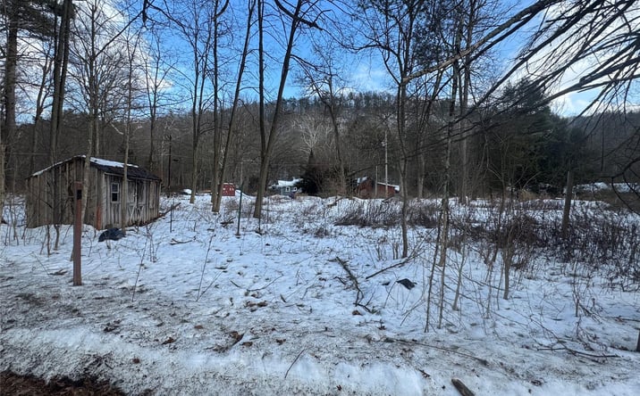 Pictures of Land, Mixed Use property located at 6-8 Grove Street, Deerpark, NY 12729 for sales - image #1