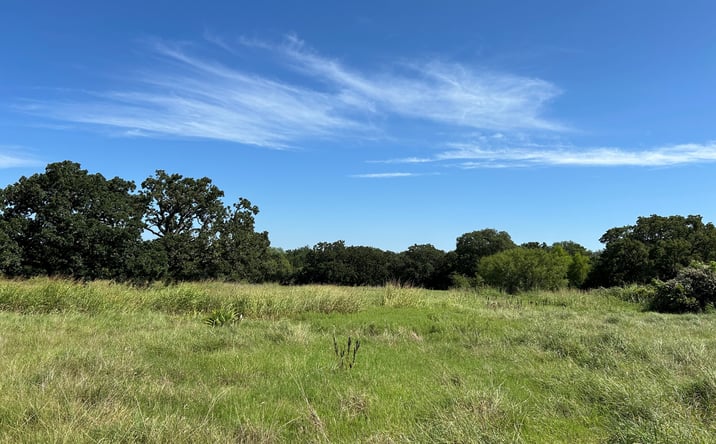 Pictures of Land property located at 6088 US Highway 380, Bridgeport, TX 76426 for sales - image #1