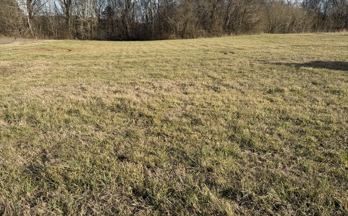 Pictures of Land property located at 14500 Hwy 43, Russellville, AL 35654 for sales - image #1