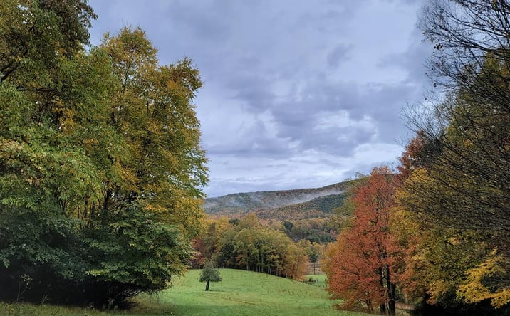 Pictures of Land, Multifamily property located at Old Slash Rd, Troutdale, VA 24378 for sales - image #1