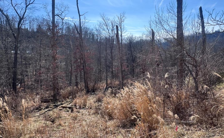Pictures of Land property located at Joplin Place, South Charleston, WV 25309 for sales - image #1