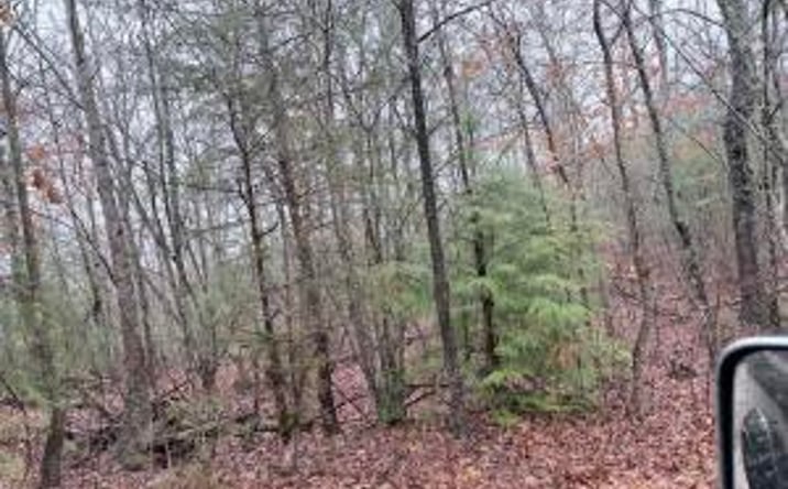 Pictures of Land property located at 000000 hwy 68, Tellico Plains, TN 37385 for sales - image #1