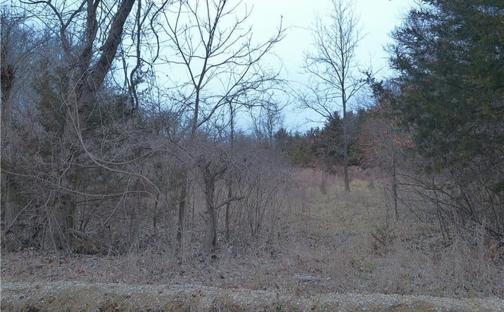 Pictures of Land property located at W 371st Street, Osawatomie, KS 66064 for sales - image #1