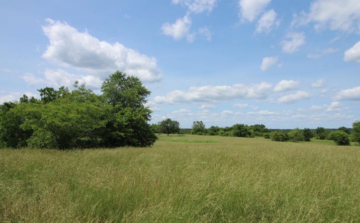 Pictures of Land property located at 000 County Road 7830, Caulfield, MO 65626 for sales - image #1