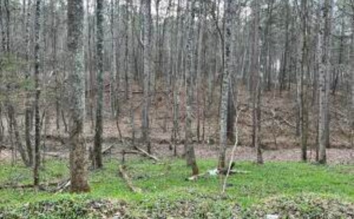 Pictures of Land property located at Butler Road Lot 4, Decatur, TN 37322 for sales - image #1