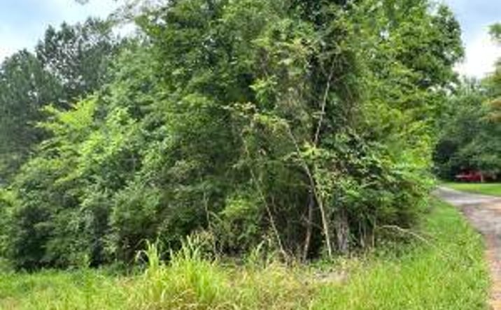 Pictures of Land property located at Lot 2 Prigmore Ridge Rd, Decatur, TN 37322 for sales - image #1