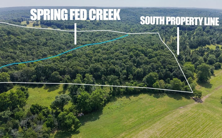 Pictures of Land property located at 000 County Road 544, Caulfield, MO 65626 for sales - image #1