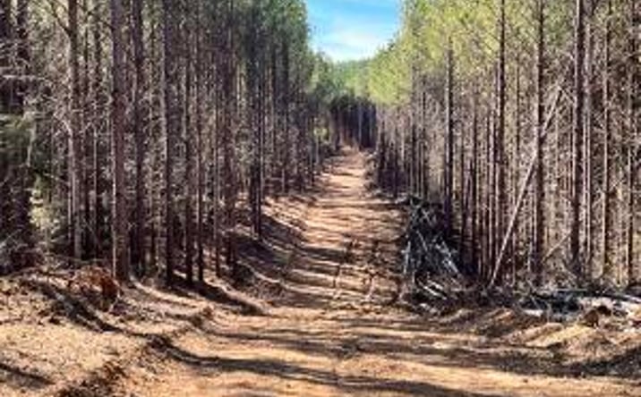 Pictures of Land property located at Lot 18 Sam Davis Road, Decatur, TN 37322 for sales - image #1
