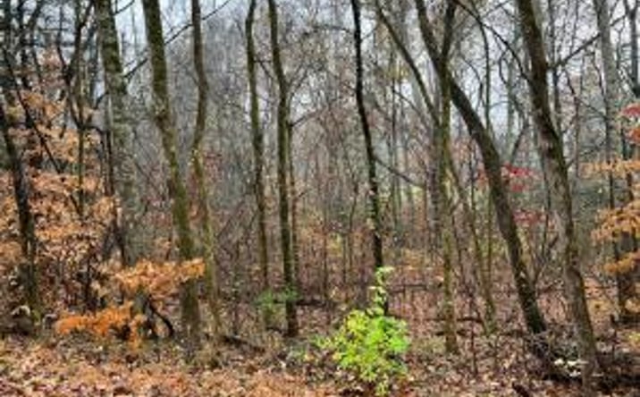 Pictures of Land property located at Lot 6 Butler Rd, Decatur, TN 37322 for sales - image #1