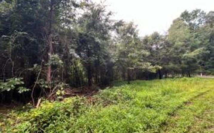 Pictures of Land property located at Lot 1 Prigmore Ridge Rd, Decatur, TN 37322 for sales - image #1