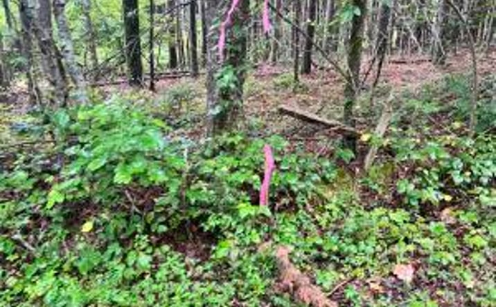 Pictures of Land property located at Prigmore Ridge Rd, Decatur, TN 37322 for sales - image #1