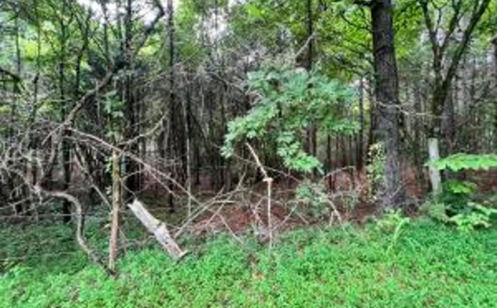 Pictures of Land property located at Willie Prigmore Ridge Rd, Decatur, TN 37322 for sales - image #1