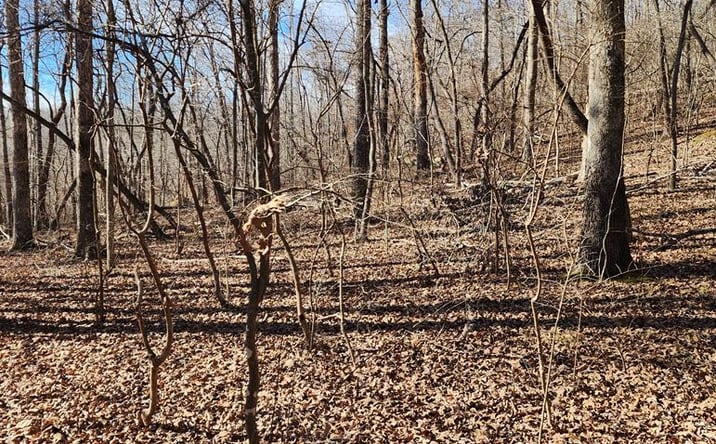 Pictures of Land, Multifamily property located at id 22 Shady Grove Rd, Holladay, TN 38341 for sales - image #1