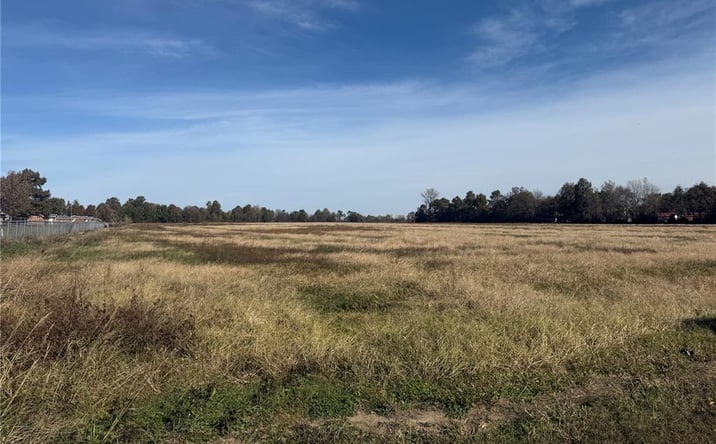 Pictures of Land property located at 0 W Washington, Hayti, MO 63851 for sales - image #1