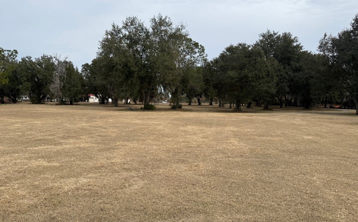 Pictures of Land property located at 1019 Morris Bridge Road, Zephyrhills, FL 33543 for sales - image #1