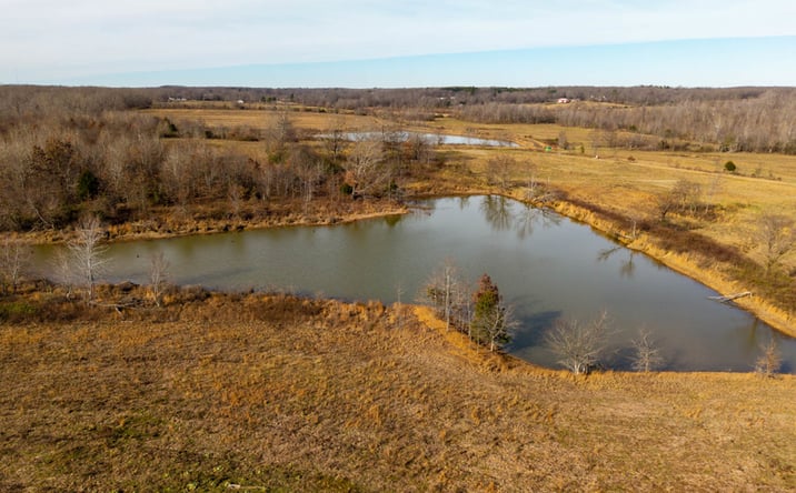 Pictures of Land property located at 000 County Road 142E-24, Doniphan, MO 63935 for sales - image #1