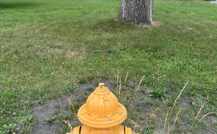 Pictures of Land property located at 799 E Burnham Street, Lowell, IN 46356 for sales - image #1