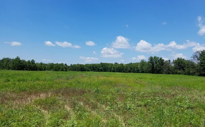Pictures of Land property located at 1020 W McCord Street, Centralia, IL 62801 for sales - image #1