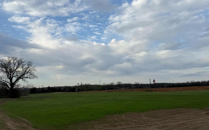 Pictures of Land property located at Teske Road, Other, IL 62959 for sales - image #1