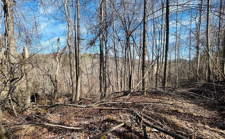 Pictures of Land, Multifamily property located at TBD Valley Hill Dr/Meadow Creek Rd, Galax, VA 24333 for sales - image #1