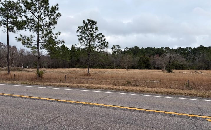 Pictures of Land property located at 10585 Bellingrath Rd, Theodore, AL 36582 for sales - image #1