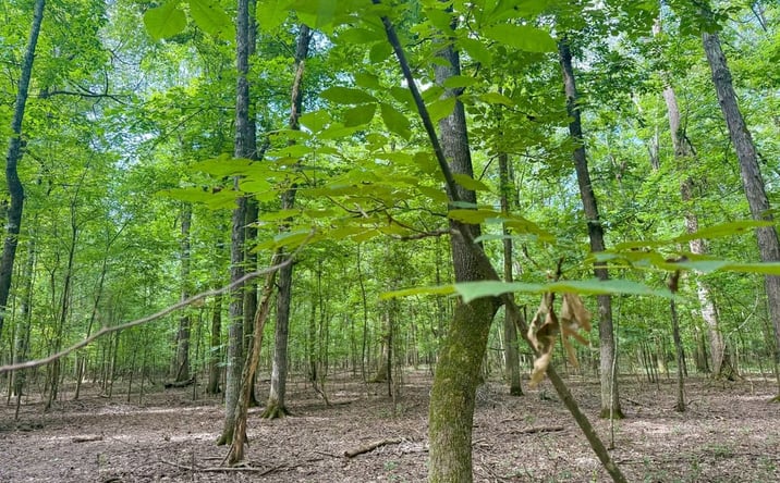 Pictures of Land property located at W Melkovitz Rd, Hazen, AR 72064 for sales - image #1