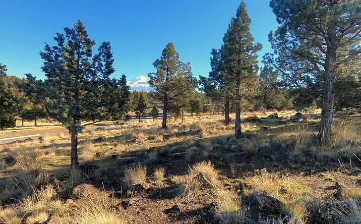 Pictures of Land property located at 0 Mountain Wood Dr, Weed, CA 96094 for sales - image #1