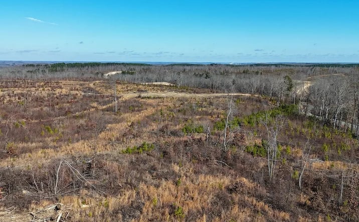 Pictures of Land property located at Rockport McIllwain Rd, Holladay, TN 38341 for sales - image #1