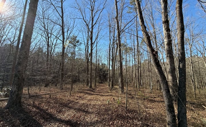 Pictures of Land property located at 000 Nix Road, Phil Campbell, AL 35581 for sales - image #1