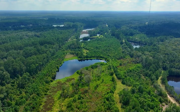 Pictures of Land property located at Fort Argyle Rd, Savannah, GA 31419, Uncle Shed's Rd, Bloomingdale, GA 31419 for sales - image #1