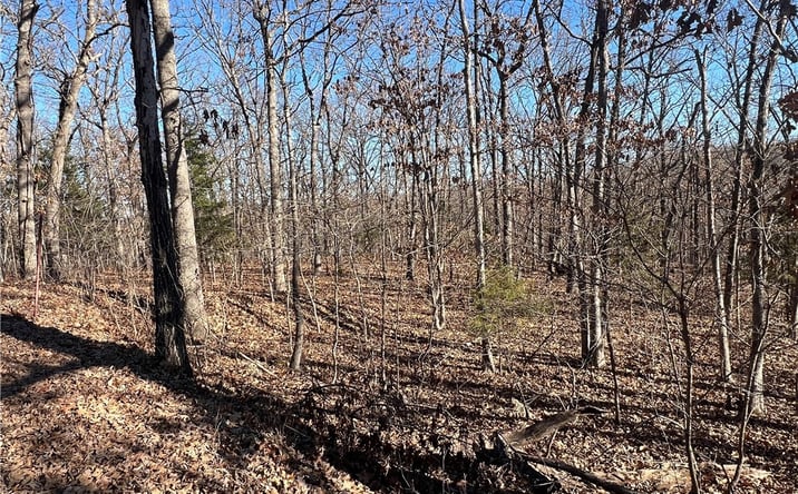 Pictures of Land, Industrial, Multifamily property located at Thong Tree Road, Camdenton, MO 65020 for sales - image #1