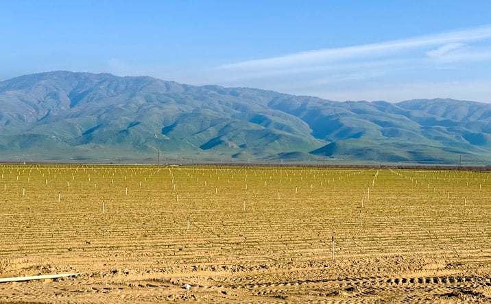 Pictures of Land property located at Tejon Hwy, Arvin, CA 93203 for sales - image #1