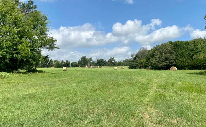 Pictures of Land property located at 3841 County Road SW 3170, Winnsboro, TX 75494 for sales - image #1