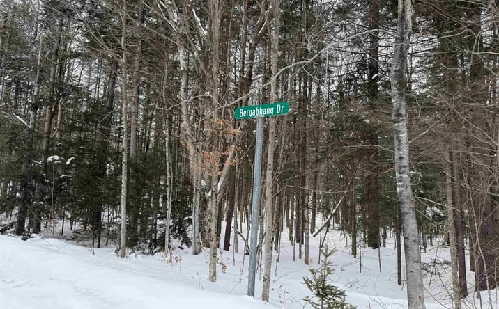 Pictures of Land property located at 326A Bergabhang Drive, Stamford, VT 05352 for sales - image #1