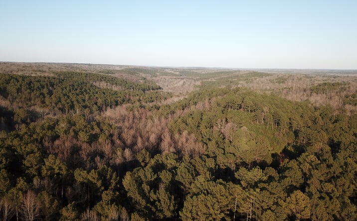 Pictures of Land property located at Mt. Zion Church Road, Whitesburg, GA 30185 for sales - image #1