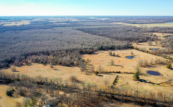 Pictures of Land property located at 1200 County Rd 1255, Detroit, TX 75436 for sales - image #1