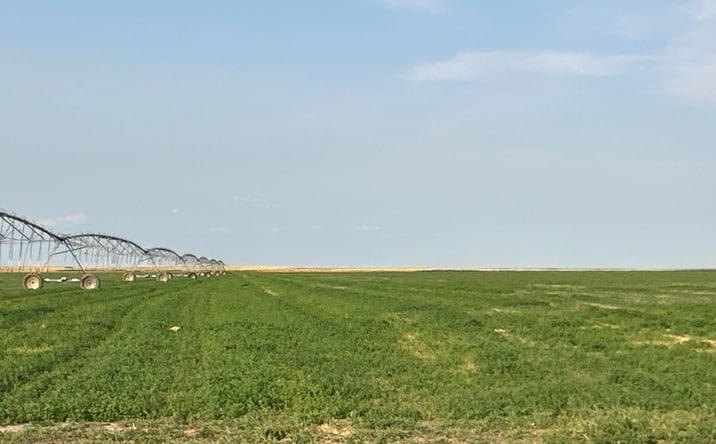 Pictures of Land property located at 10 PP Rd, Seibert, CO 80834 for sales - image #1