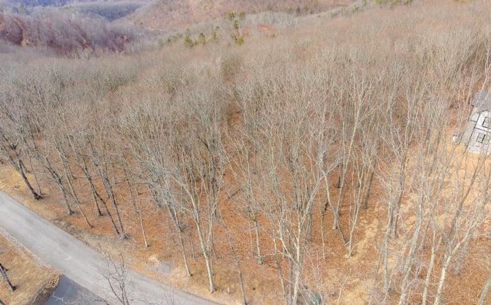 Pictures of Land property located at Lot 150 Withrow Landing, Caldwell, WV 24925 for sales - image #1