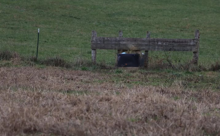 Pictures of Land property located at 0 Fisher Ridge Road, Horse Cave, KY 42749 for sales - image #1