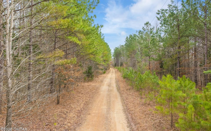 Pictures of Land property located at Lot 12 Kehrer Lane, Huntingdon, TN 38344 for sales - image #1