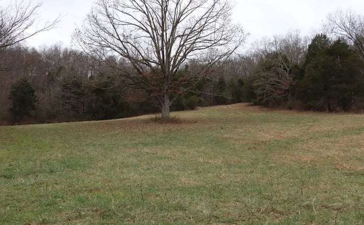 Pictures of Land property located at Fisher Ridge Rd, Horse Cave, KY 42749 for sales - image #1